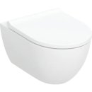 GEBERIT Duofix Vorwandelement Basic + Wand-WC Acanto + WC-Sitz + Betätigungsplatte DELTA21
